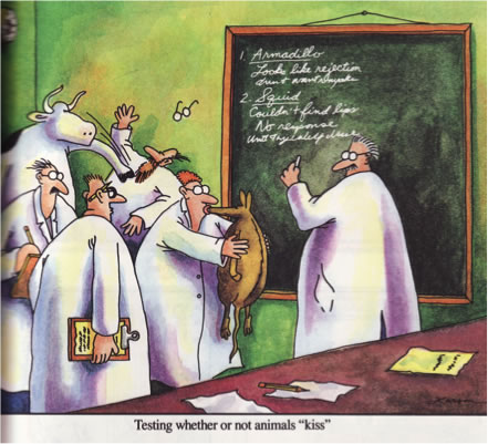 FAR SIDE CARTOON-KISSING RESEARCH